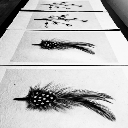 Fine Art Print Photography
