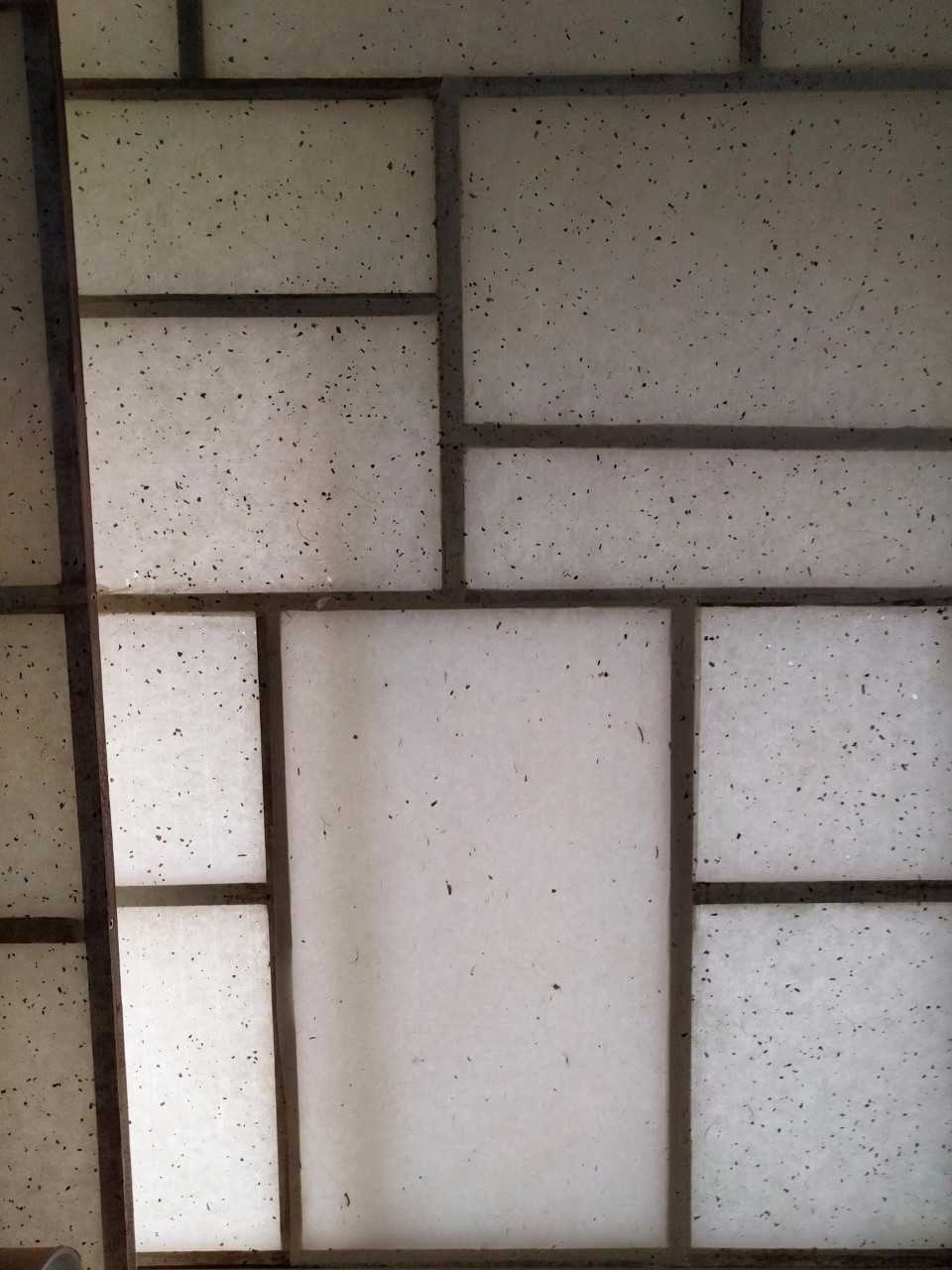 Shoji Screen