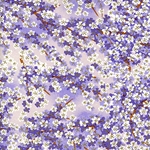 Chiyogami Yuzen Origami Paper - JASMINE - 4 Sheet Pack - 6 x 6 Inch