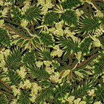 Japanese Chiyogami Yuzen Paper - FORTUNE