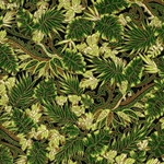 Chiyogami Yuzen Origami Paper - FORTUNE - 4 Sheet Pack - 6 x 6 Inch