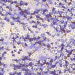 Japanese Chiyogami Yuzen Paper - JASMINE