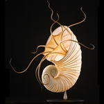 Ammonite Sculptural Lamp