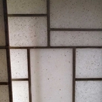 SHOJI SCREEN