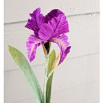 CREPE PAPER IRIS