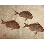 GYOTAKU TAI SNAPPER