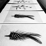 FINE ART PRINTS ON HANDMADE PAPERS