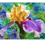 BEARDED IRIS