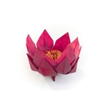 ORIGAMI LOTUS FLOWER