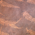 Lokta Paper Origami Pack - Sun Washed Fern - ORANGE