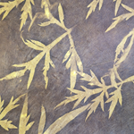 Lokta Paper Origami Pack - Sun Washed Mugwort Leaf - YELLOW