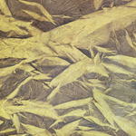 Lokta Paper Origami Pack - Sun Washed Wrinkle - YELLOW