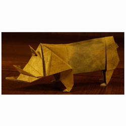 RHINO