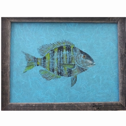 SHEEPSHEAD GYOTAKU
