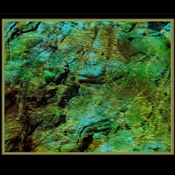 ABSTRACT SEA DRAGON