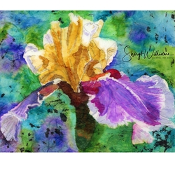 BEARDED IRIS