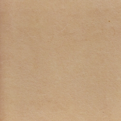 Korean Hanji Paper - TAN