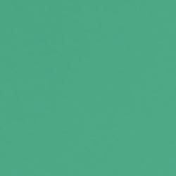 Colorplan Light Cardstock Paper - MARRS GREEN