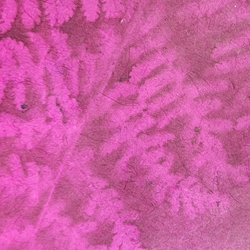 Lokta Paper Origami Pack - Sun Washed Branch - MAGENTA